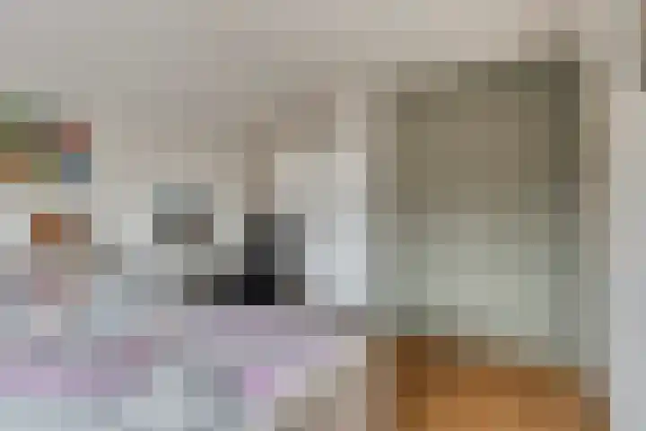 Irislaan 28 Yerseke thumbnail 32