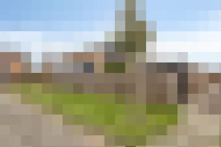 Irislaan 28 Yerseke thumbnail 35