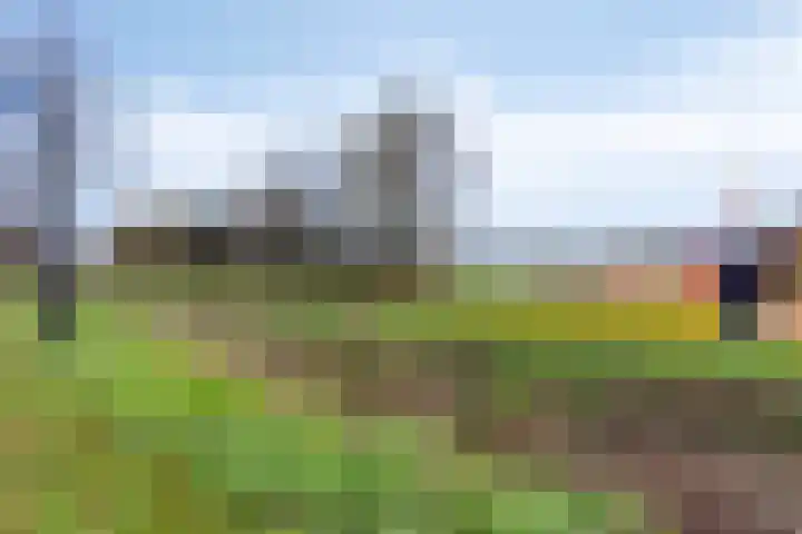 Irislaan 28 Yerseke thumbnail 40