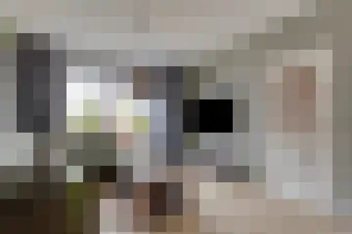 Irislaan 28 Yerseke thumbnail 6