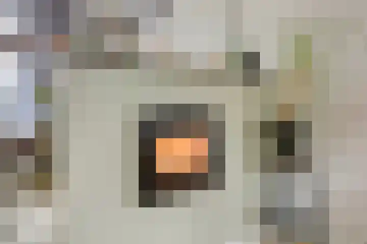 Irislaan 28 Yerseke thumbnail 7