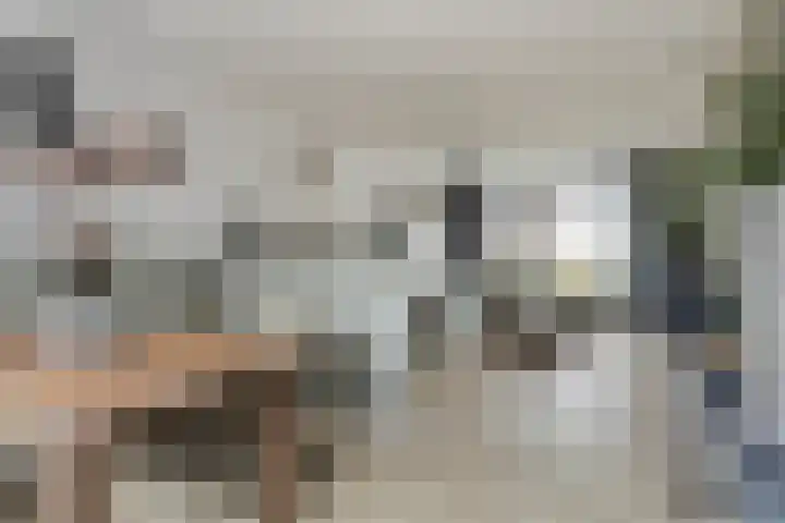 Irislaan 28 Yerseke thumbnail 8