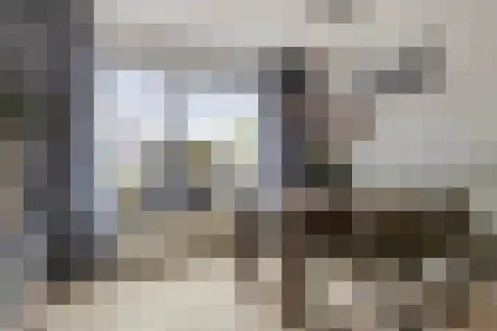 Irislaan 28 Yerseke thumbnail 9