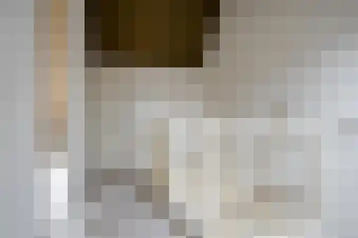 Irislaan 29 Eindhoven thumbnail 21
