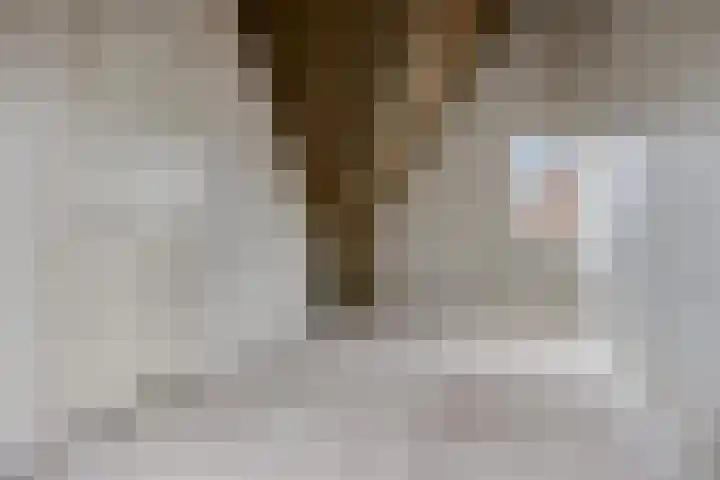 Irislaan 29 Eindhoven thumbnail 22