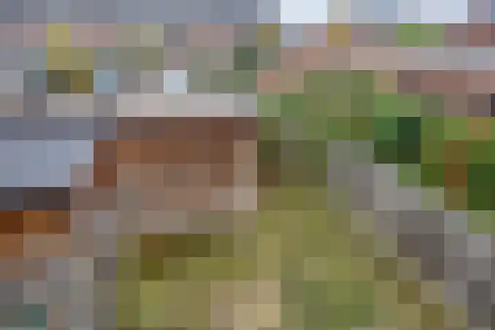 Irislaan 29 Eindhoven thumbnail 24