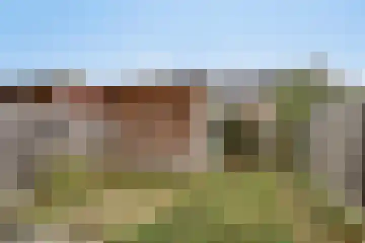 Irislaan 29 Eindhoven thumbnail 25