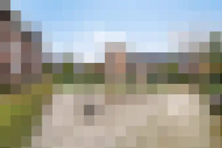 Irislaan 29 Eindhoven thumbnail 29