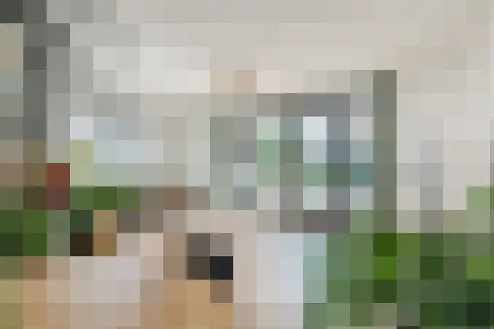 Irislaan 29 Eindhoven foto 3