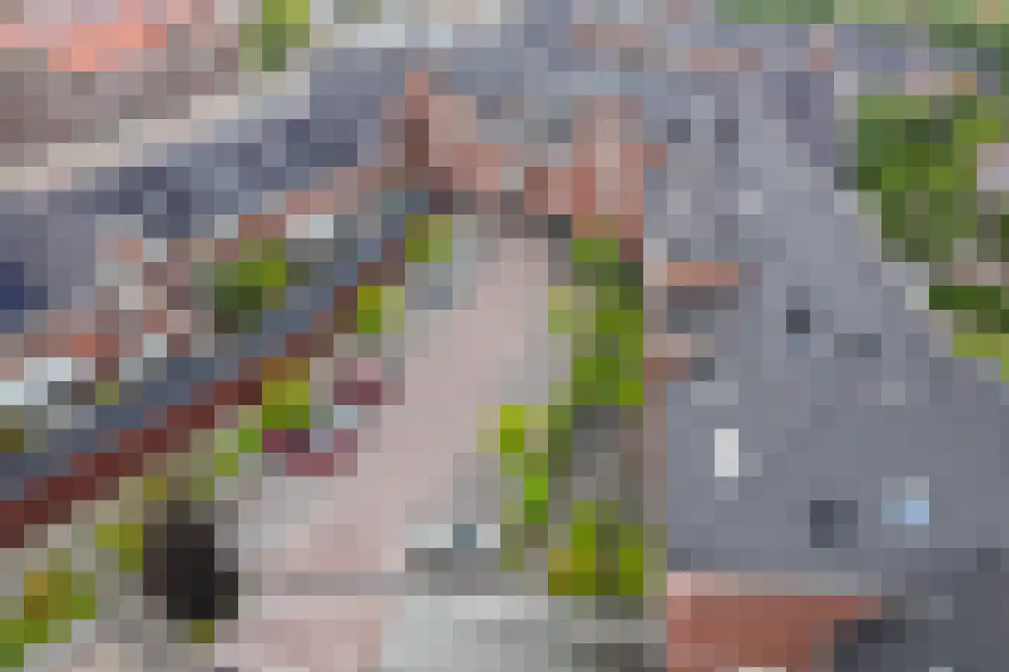 Irislaan 30 Eindhoven thumbnail 30