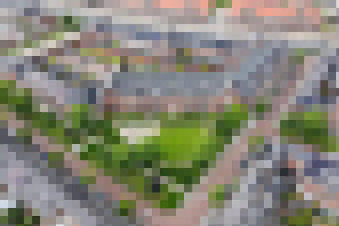 Irislaan 30 Eindhoven thumbnail 33