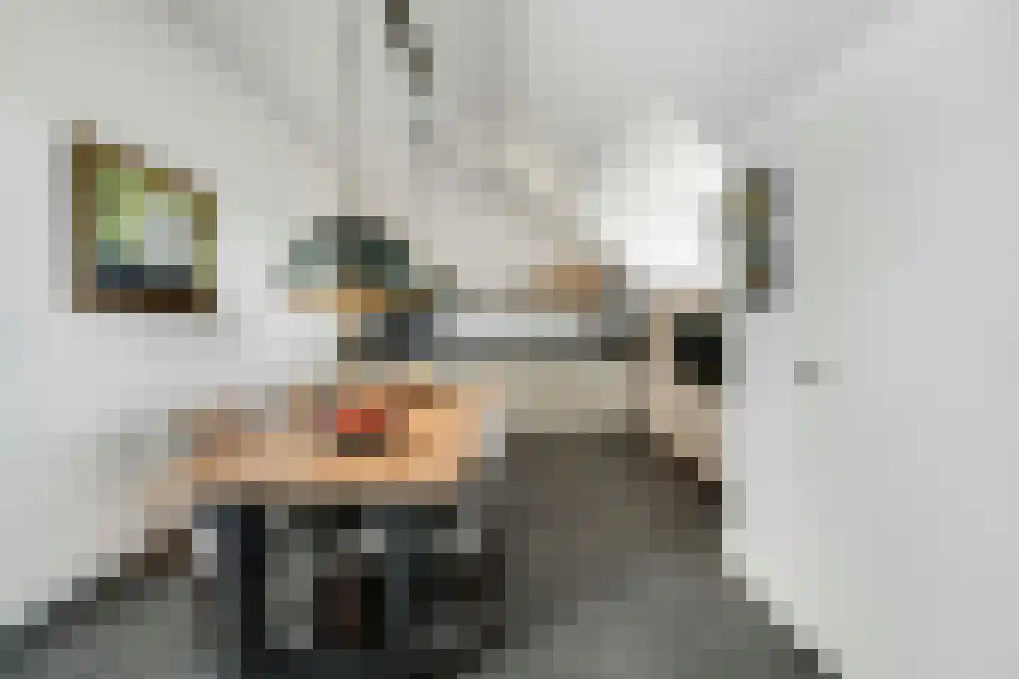 Irislaan 30 Eindhoven thumbnail 46