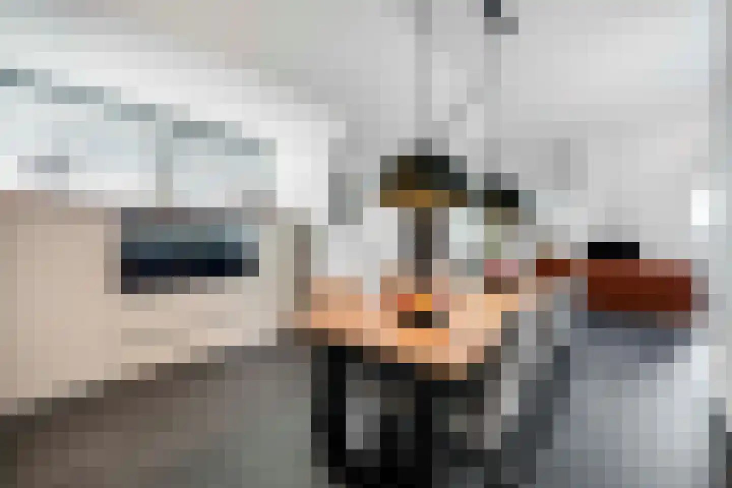 Irislaan 30 Eindhoven thumbnail 49