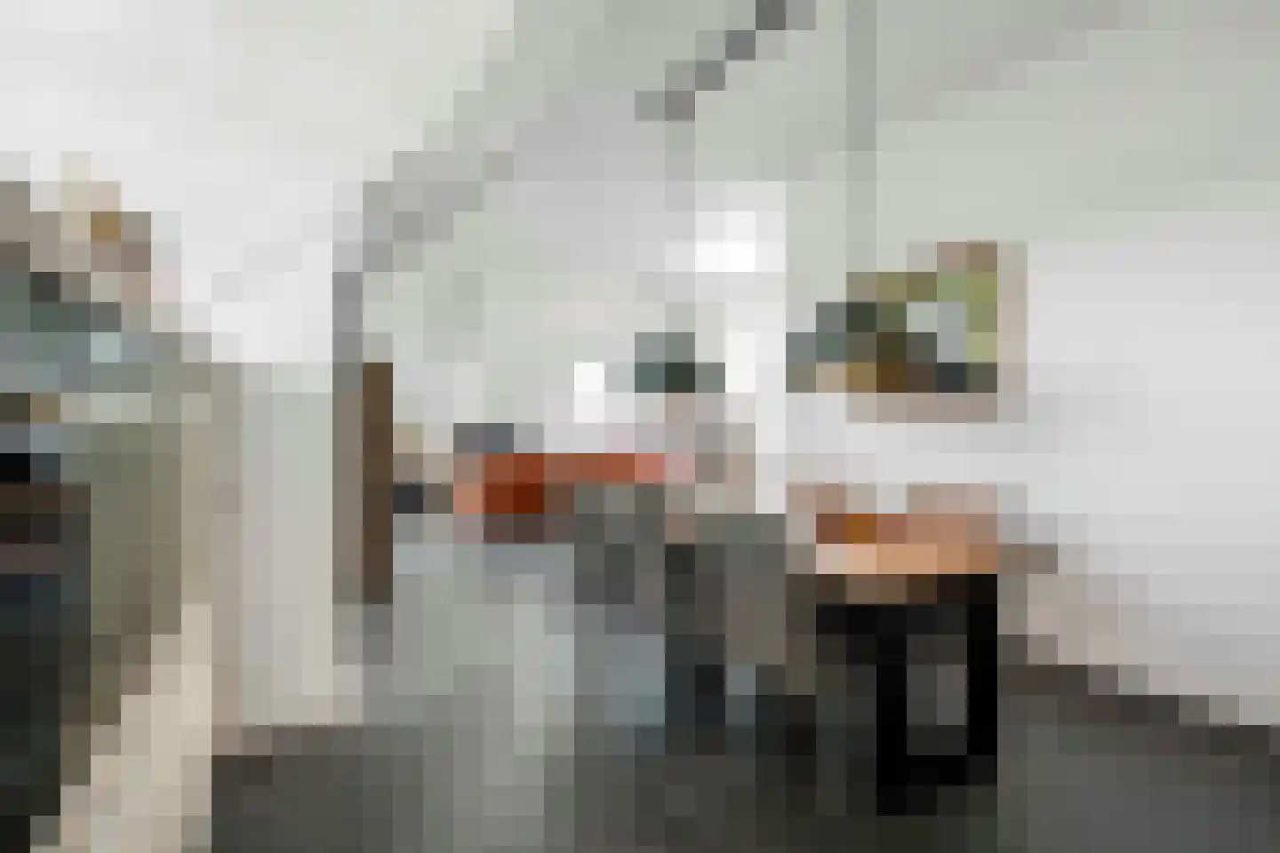 Irislaan 30 Eindhoven thumbnail 5