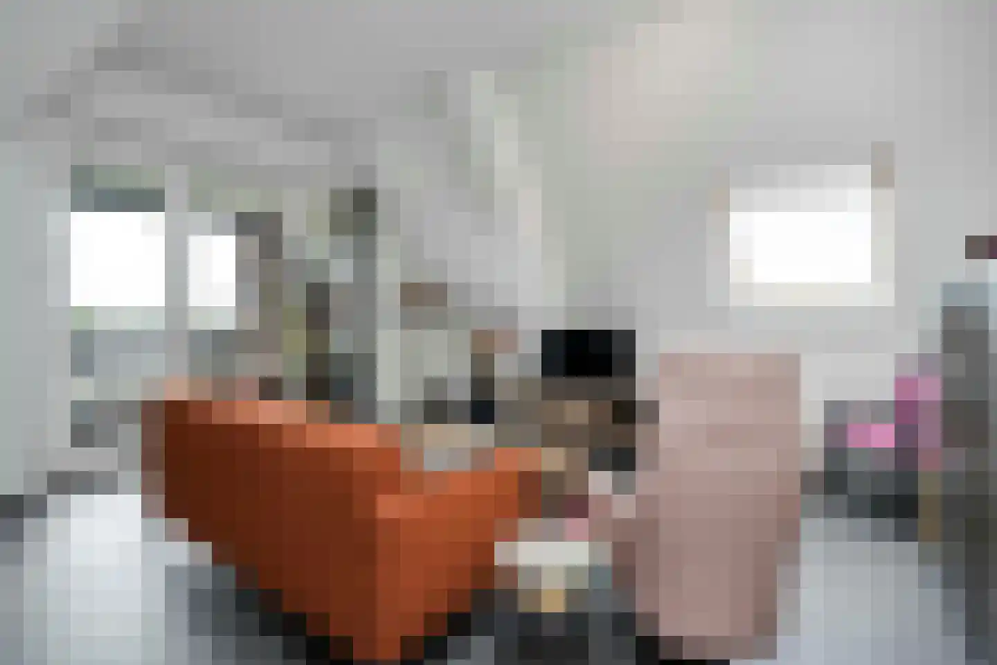 Irislaan 30 Eindhoven thumbnail 60