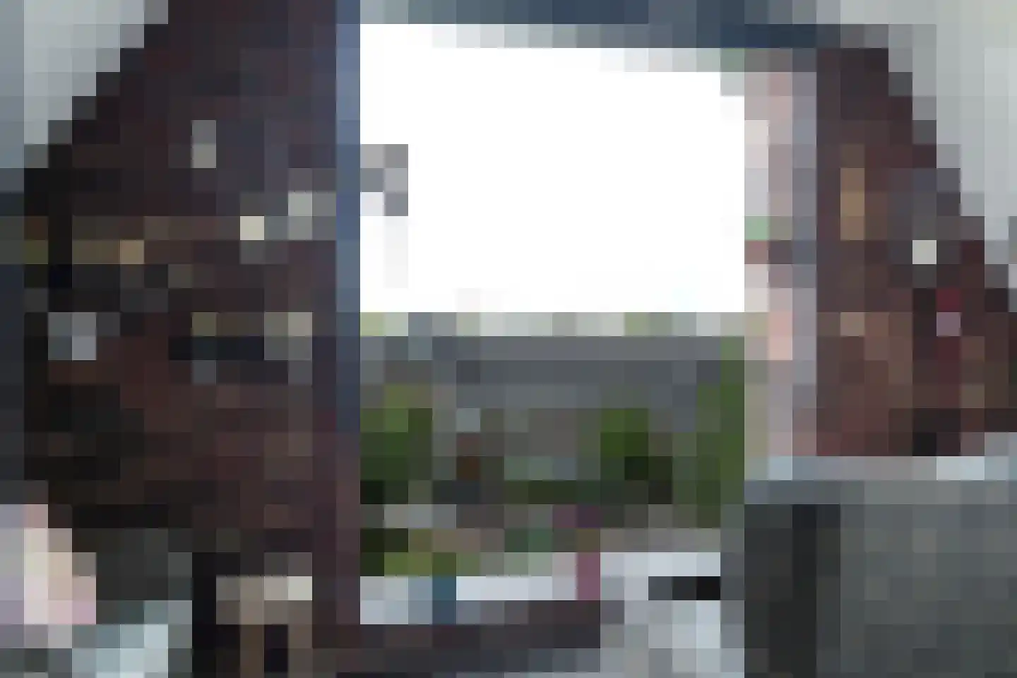 Irislaan 30 Eindhoven thumbnail 61