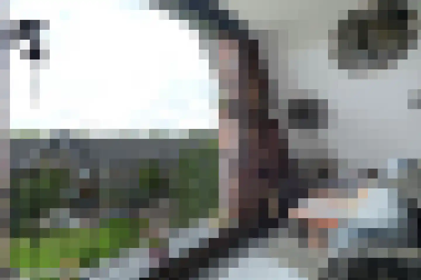 Irislaan 30 Eindhoven thumbnail 62