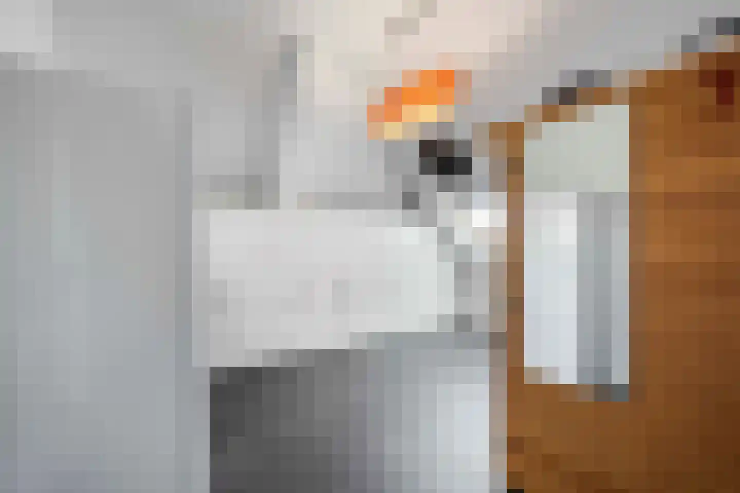 Irislaan 30 Eindhoven thumbnail 65