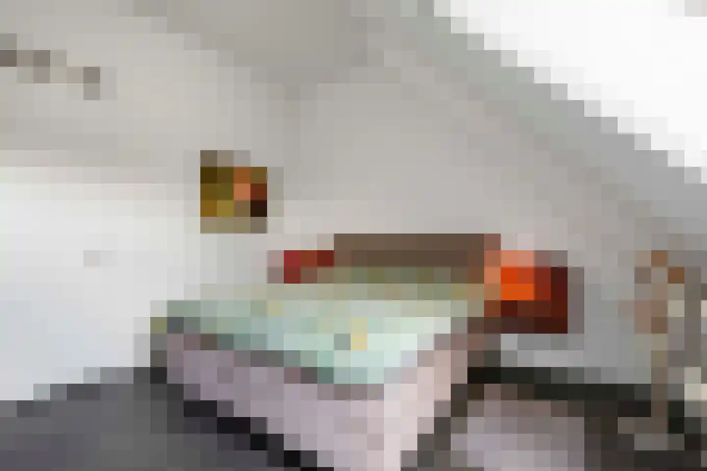 Irislaan 30 Eindhoven thumbnail 68
