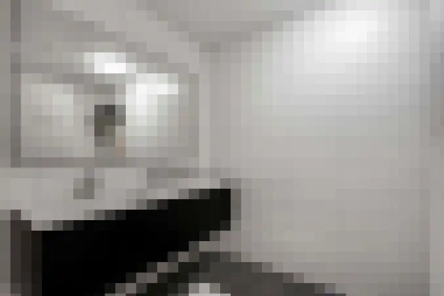 Irislaan 30 Eindhoven thumbnail 79