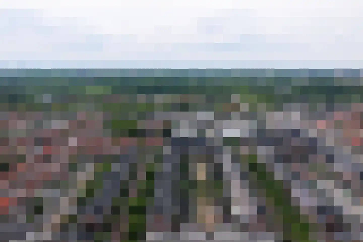 Irislaan 30 Eindhoven thumbnail 85