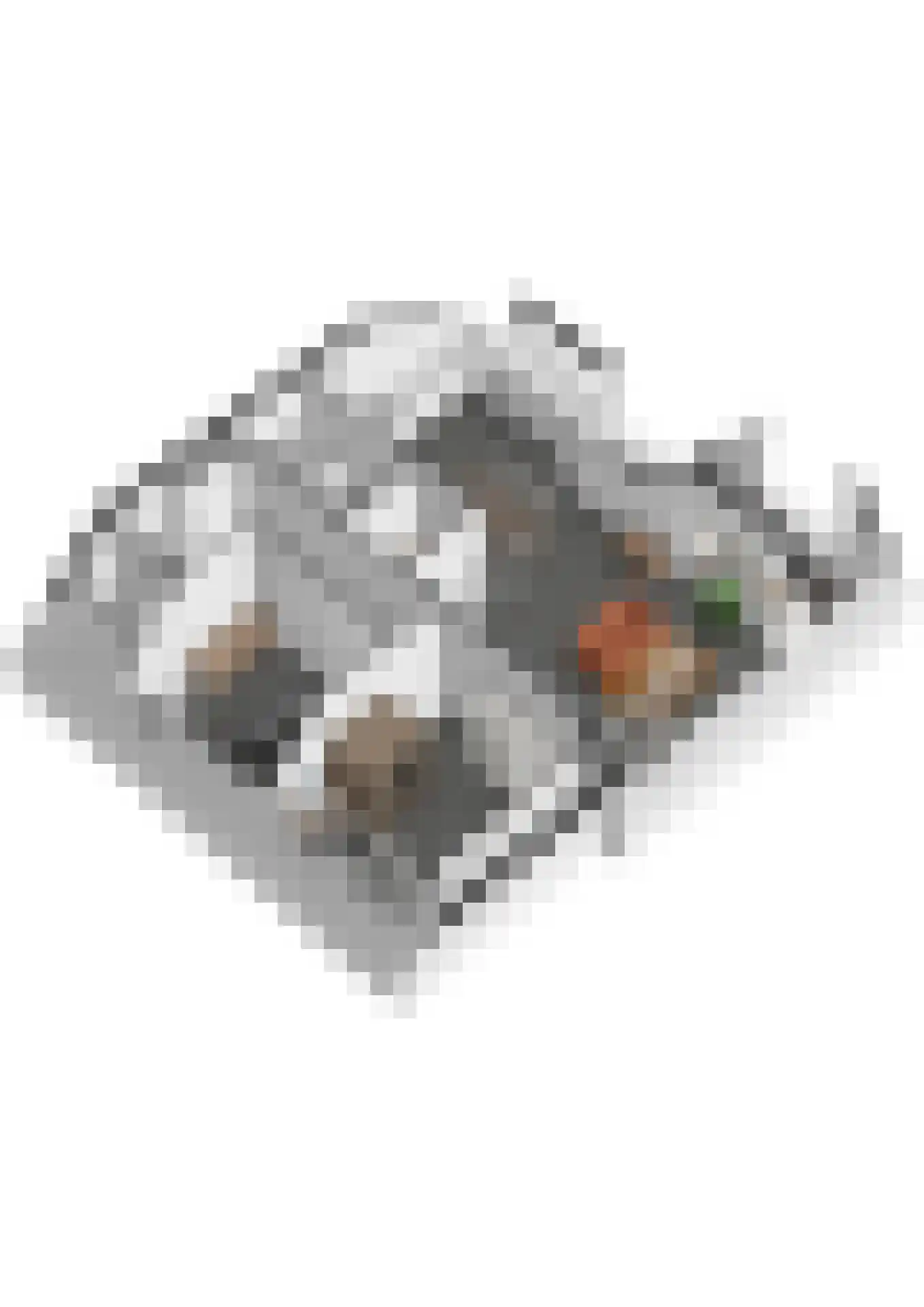 Irislaan 30 Eindhoven thumbnail 93