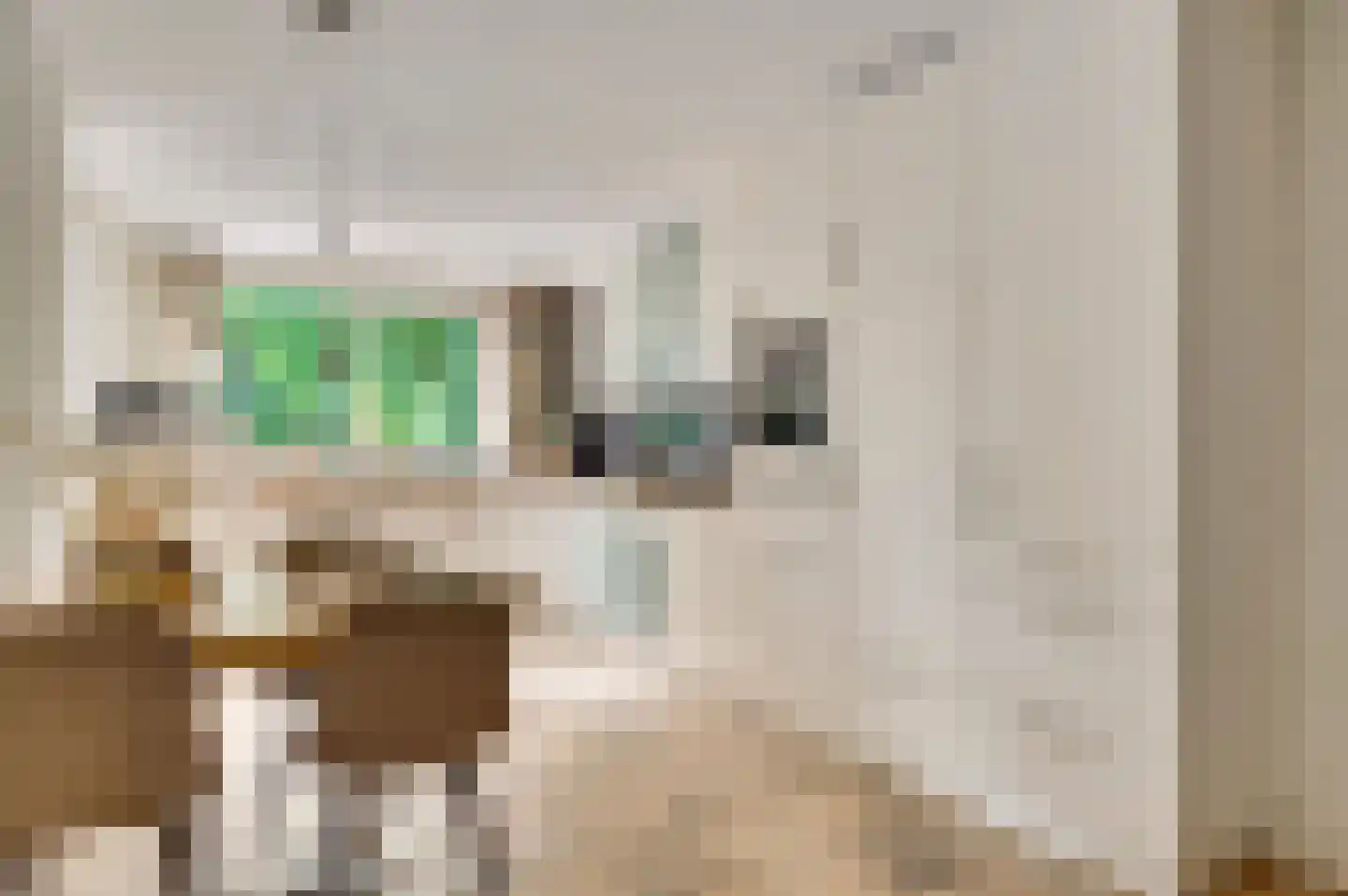 Irislaan 30 Leende thumbnail 13