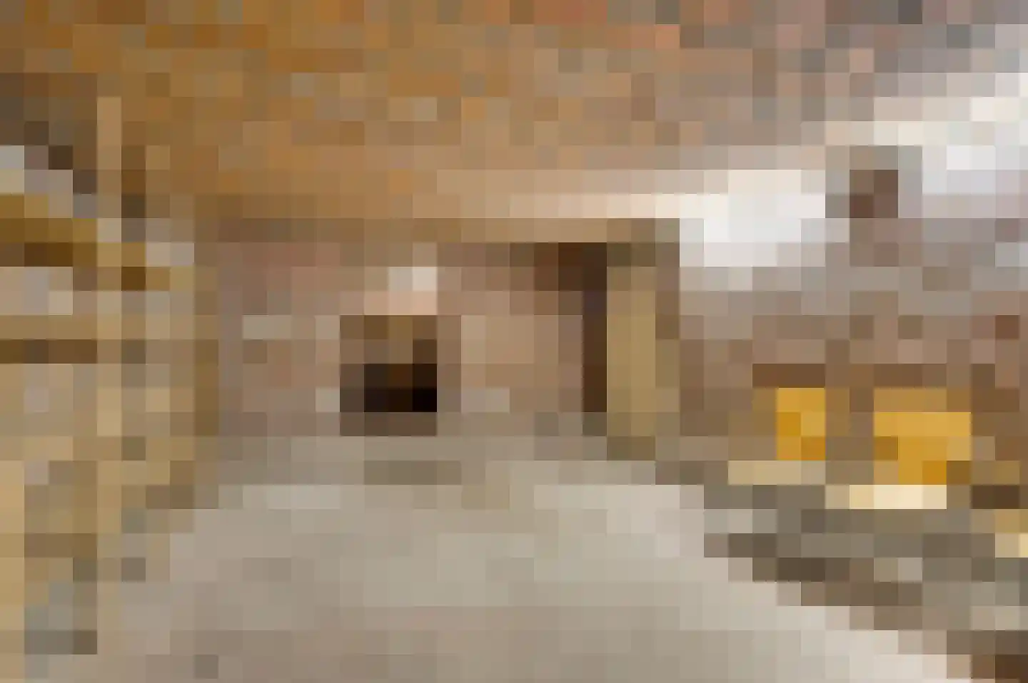 Irislaan 30 Leende thumbnail 26