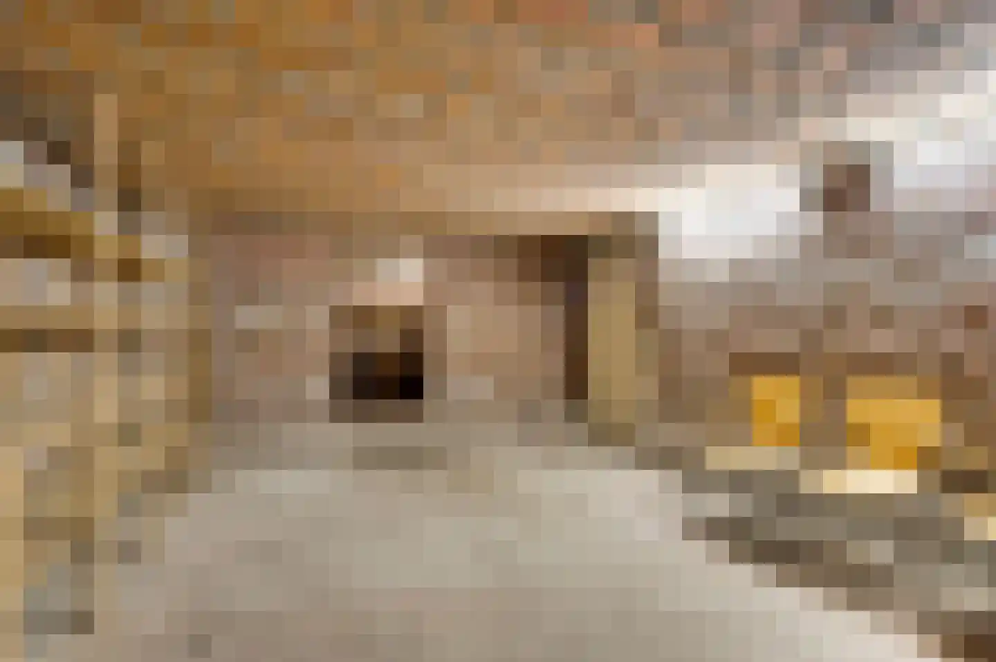 Irislaan 30 Leende thumbnail 29