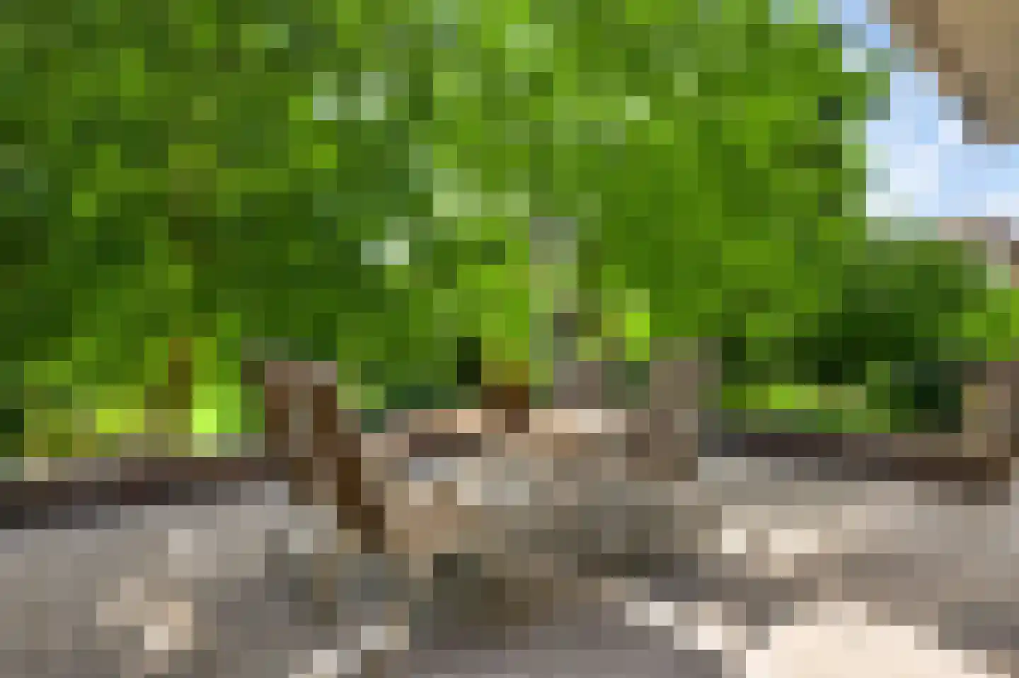 Irislaan 30 Leende thumbnail 40