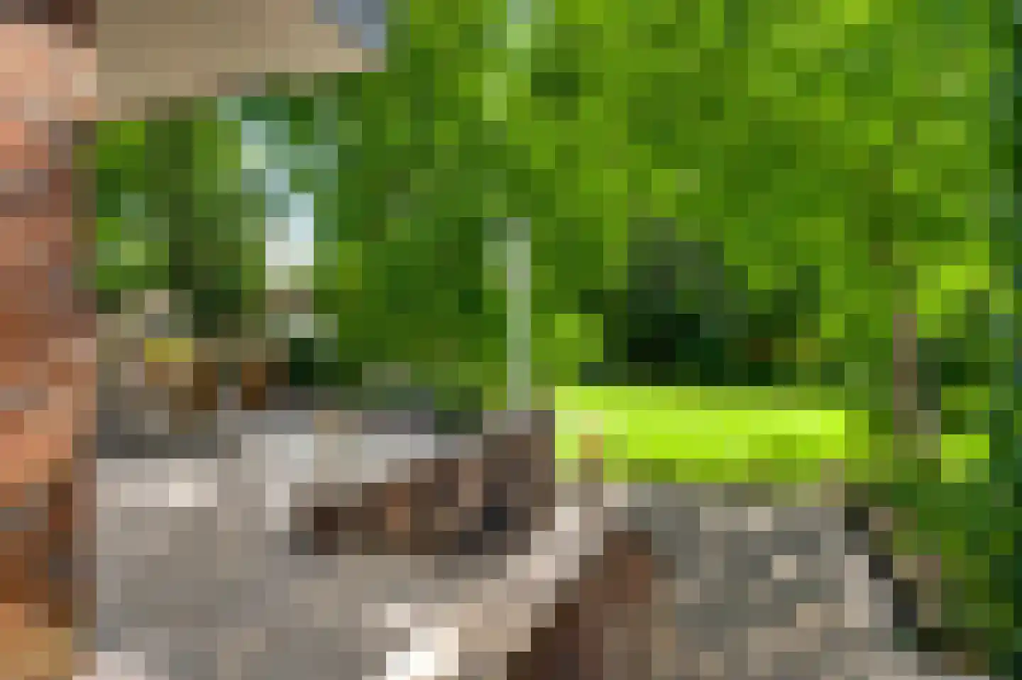 Irislaan 30 Leende thumbnail 42
