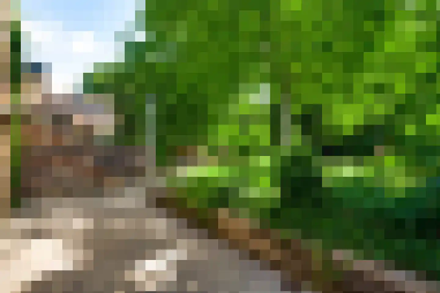Irislaan 30 Leende thumbnail 44