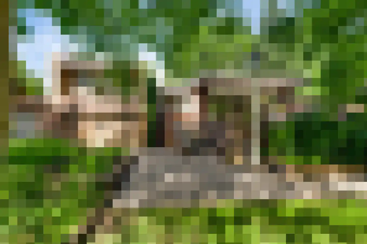 Irislaan 30 Leende thumbnail 45