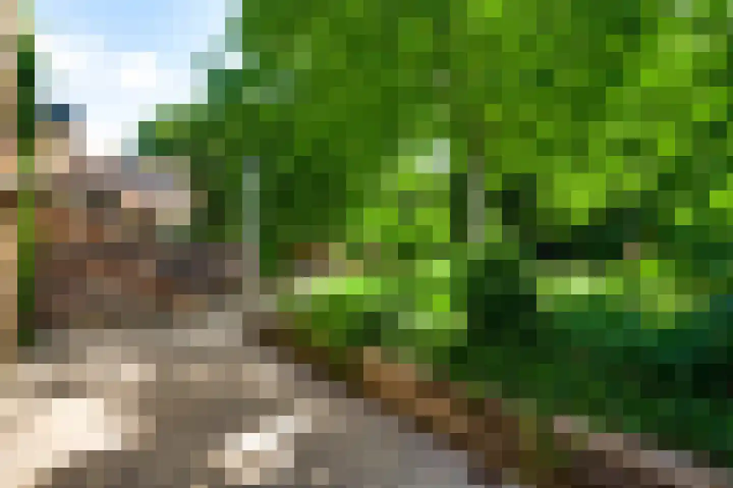 Irislaan 30 Leende thumbnail 46