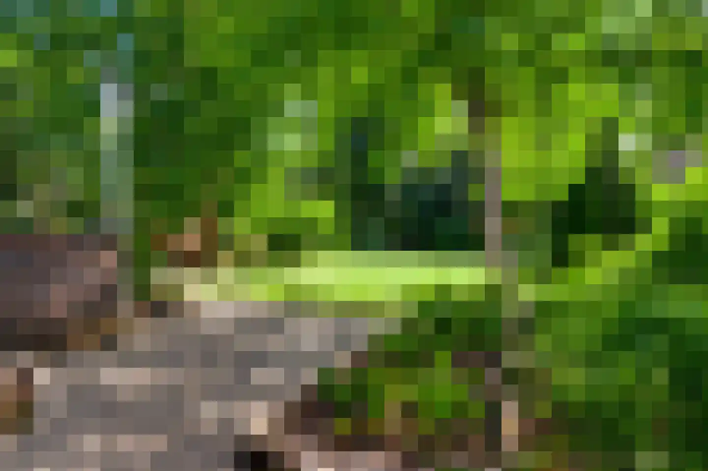 Irislaan 30 Leende thumbnail 47