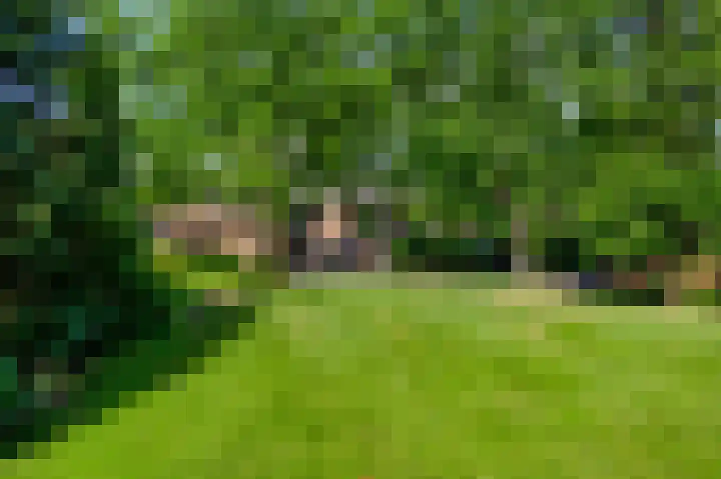Irislaan 30 Leende thumbnail 5