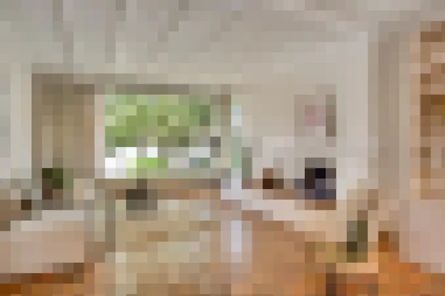 Irislaan 30 Leende thumbnail 5