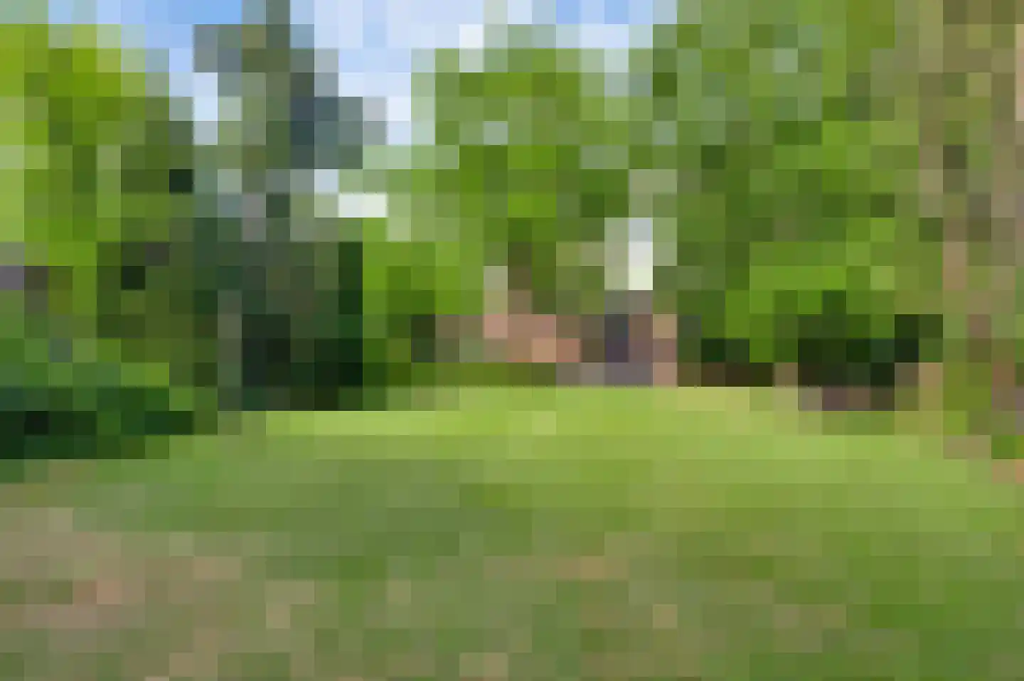 Irislaan 30 Leende thumbnail 50
