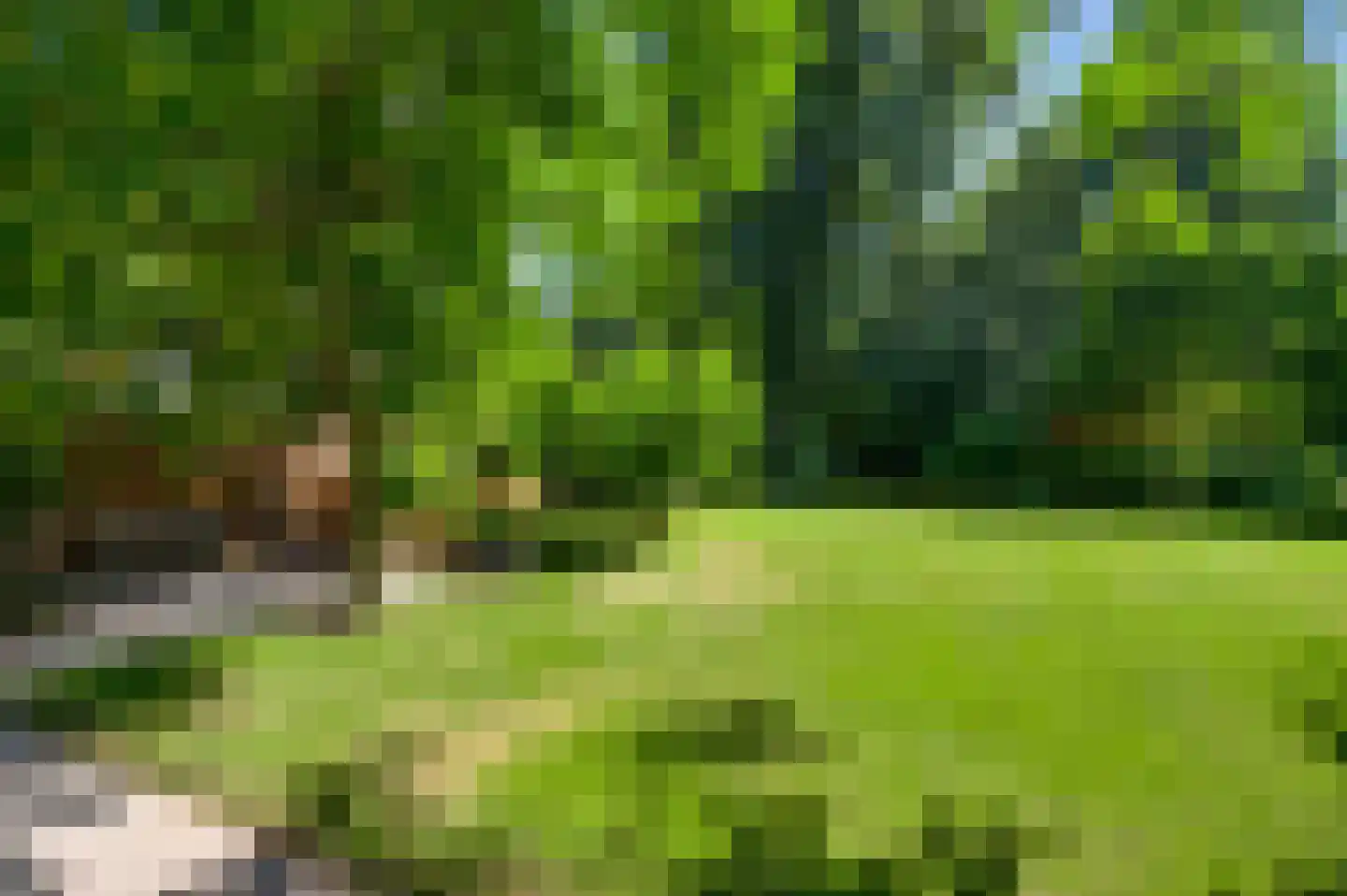 Irislaan 30 Leende thumbnail 51