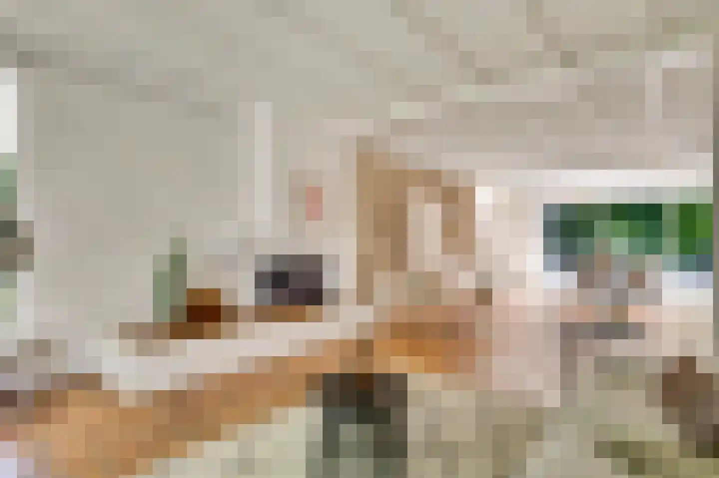 Irislaan 30 Leende thumbnail 7