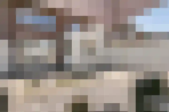 Irislaan 32 Valkenswaard thumbnail 30