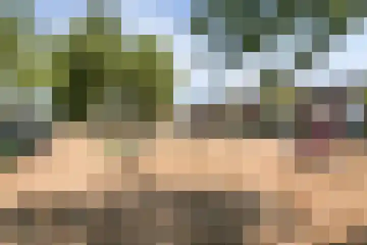 Irislaan 32 Valkenswaard thumbnail 33