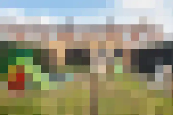 Irislaan 36 Ede thumbnail 27