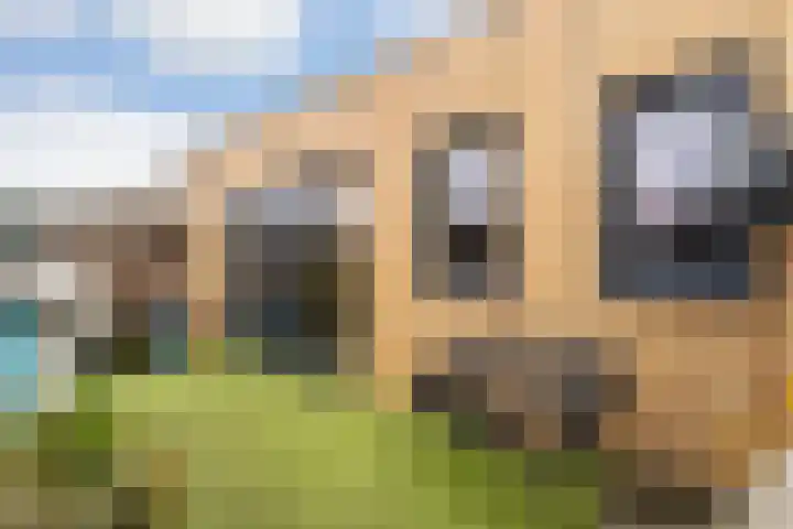 Irislaan 36 Ede thumbnail 29