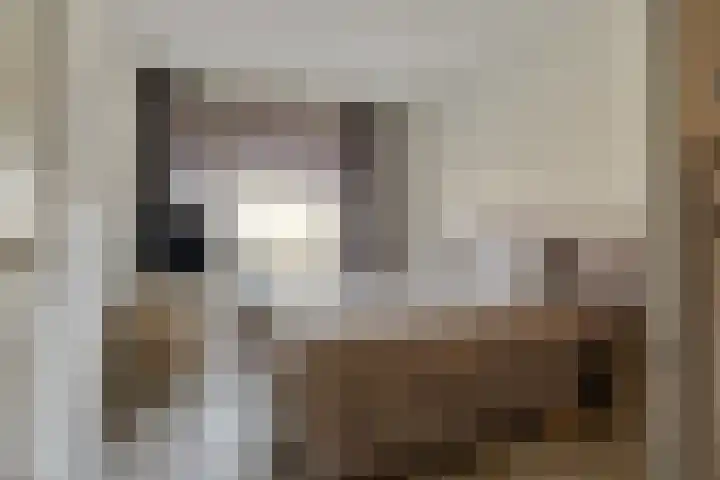 Irislaan 4 Eindhoven thumbnail 13