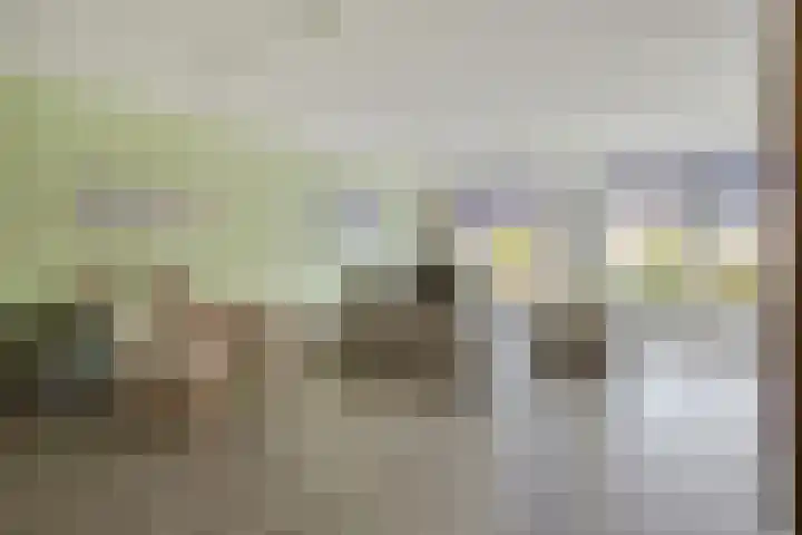 Irislaan 4 Eindhoven thumbnail 19