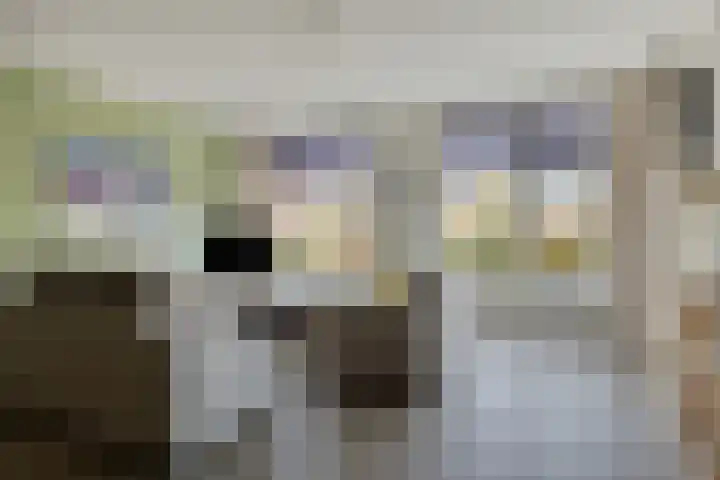 Irislaan 4 Eindhoven thumbnail 20