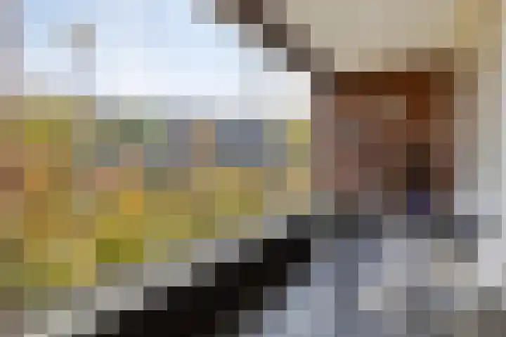 Irislaan 4 Eindhoven thumbnail 28