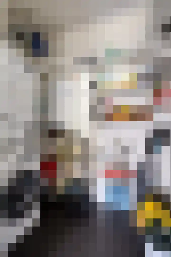 Irislaan 4 Eindhoven thumbnail 30