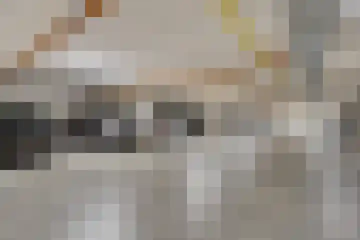 Irislaan 4 Eindhoven thumbnail 32